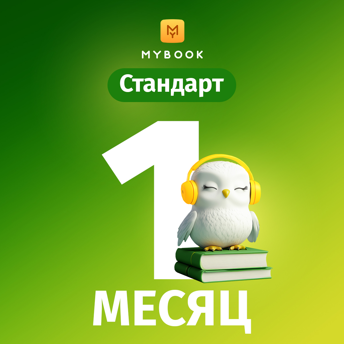 Подарок: подписка на сервис MyBook на 1 месяц